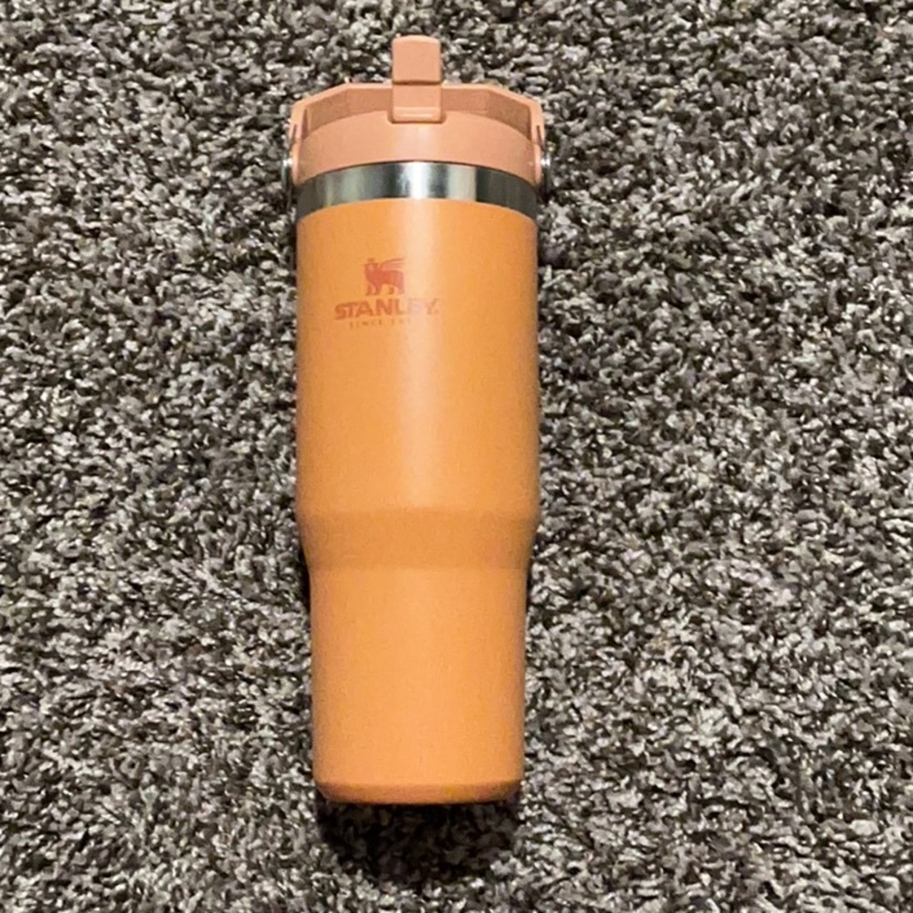 Flip straw Stanley cup